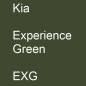 Preview: Kia, Experience Green, EXG.